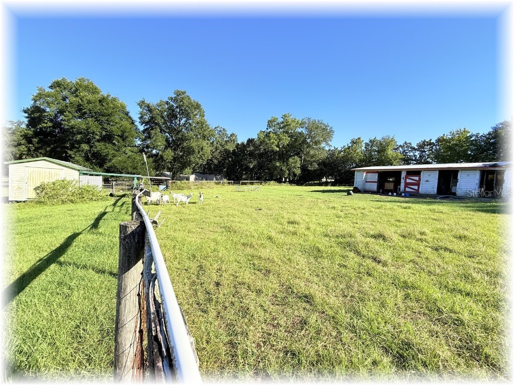 10774 SE 166 Lane Summerfield FL 34491 OM714664 image29