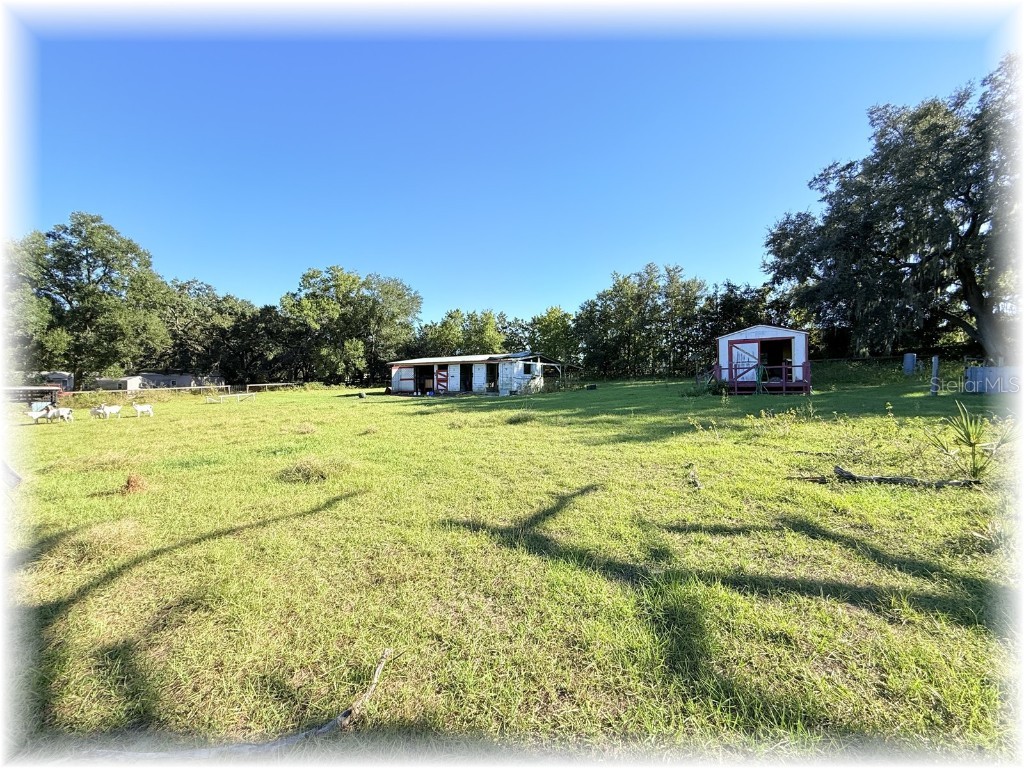 10774 SE 166 Lane Summerfield FL 34491 OM714664 image3