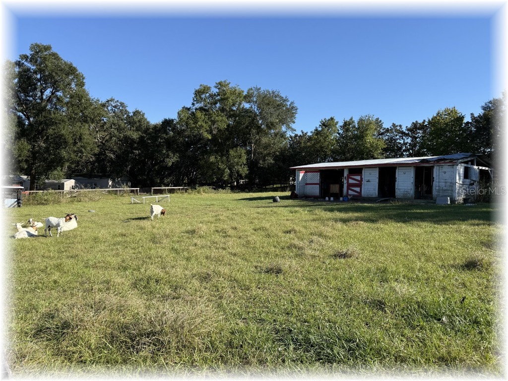 10774 SE 166 Lane Summerfield FL 34491 OM714664 image30