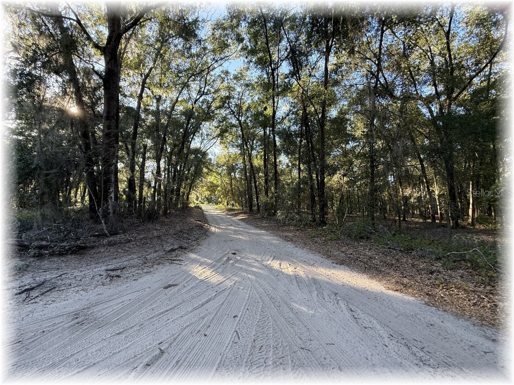 10774 SE 166 Lane Summerfield FL 34491 OM714664 image34