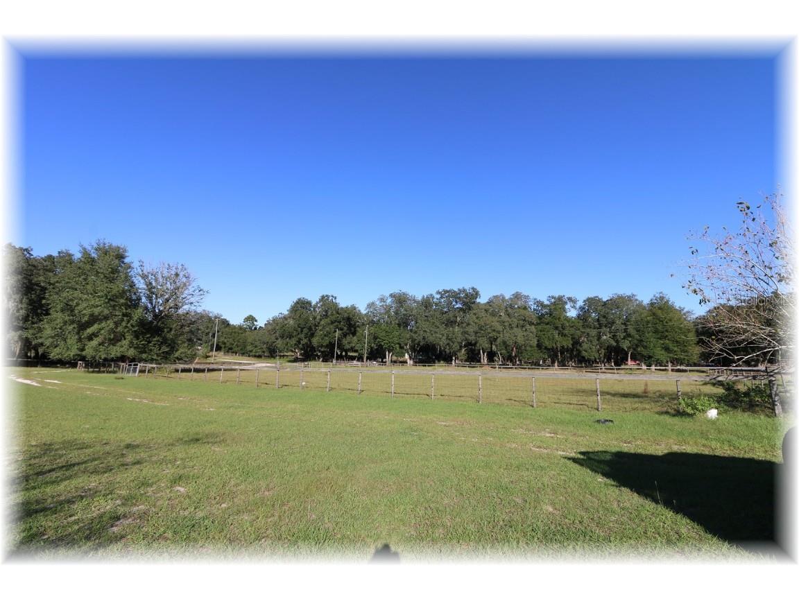 10774 SE 166 Lane Summerfield FL 34491 OM714664 image5