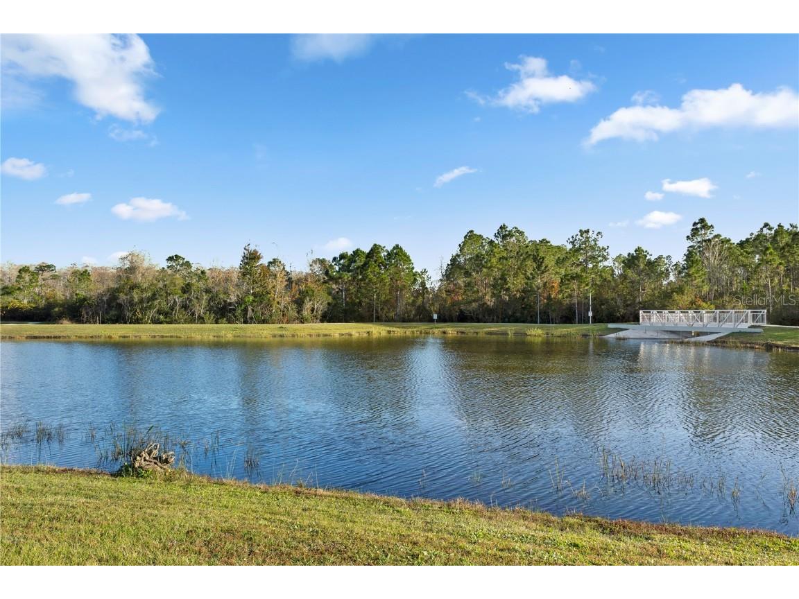 10774 Sunset Ridge Lane Orlando FL 32832 O6366376 image46
