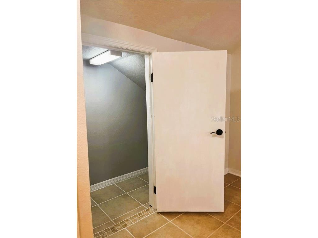 10777 Garden Lily Drive #S Orlando FL 32832 O6328418 image13