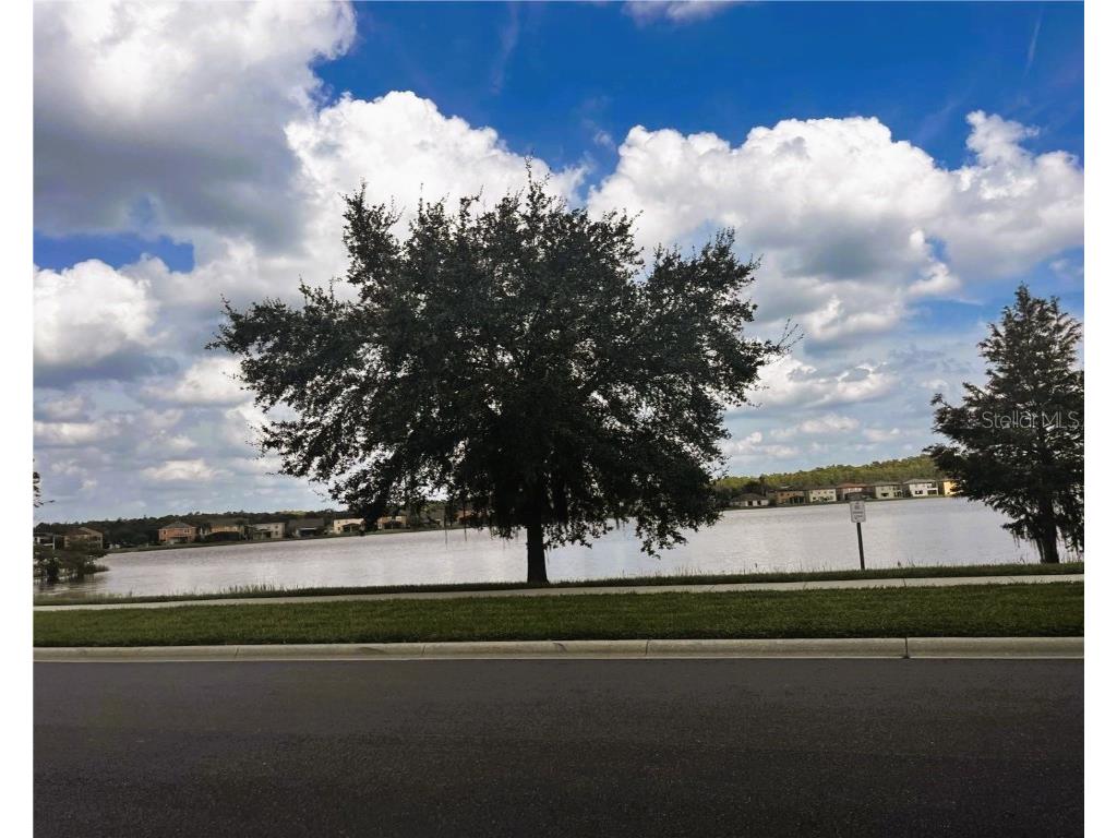 10777 Garden Lily Drive #S Orlando FL 32832 O6328418 image3