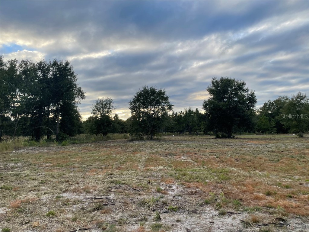10777 SE 215th Terrace Hawthorne FL 32640 OM668261 image1