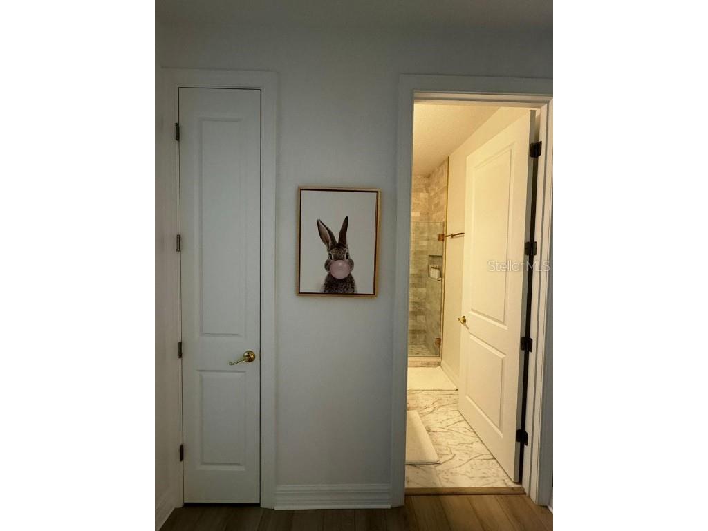 10778 Citron Oaks Drive Orlando FL 32836 O6358103 image21