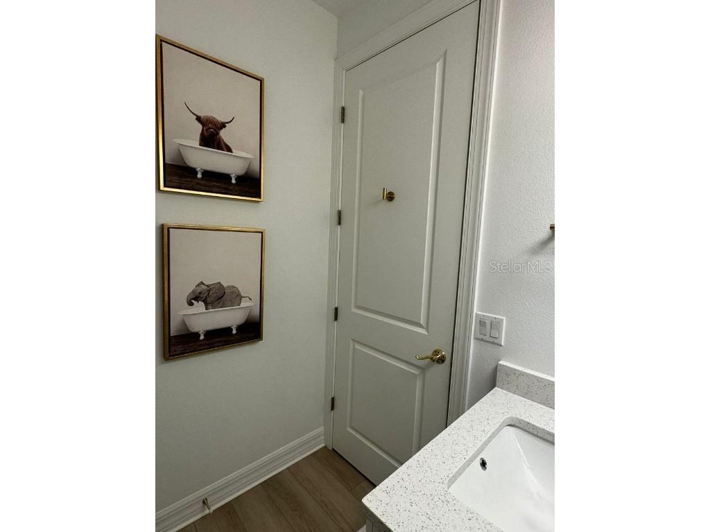 10778 Citron Oaks Drive Orlando FL 32836 O6358103 image23