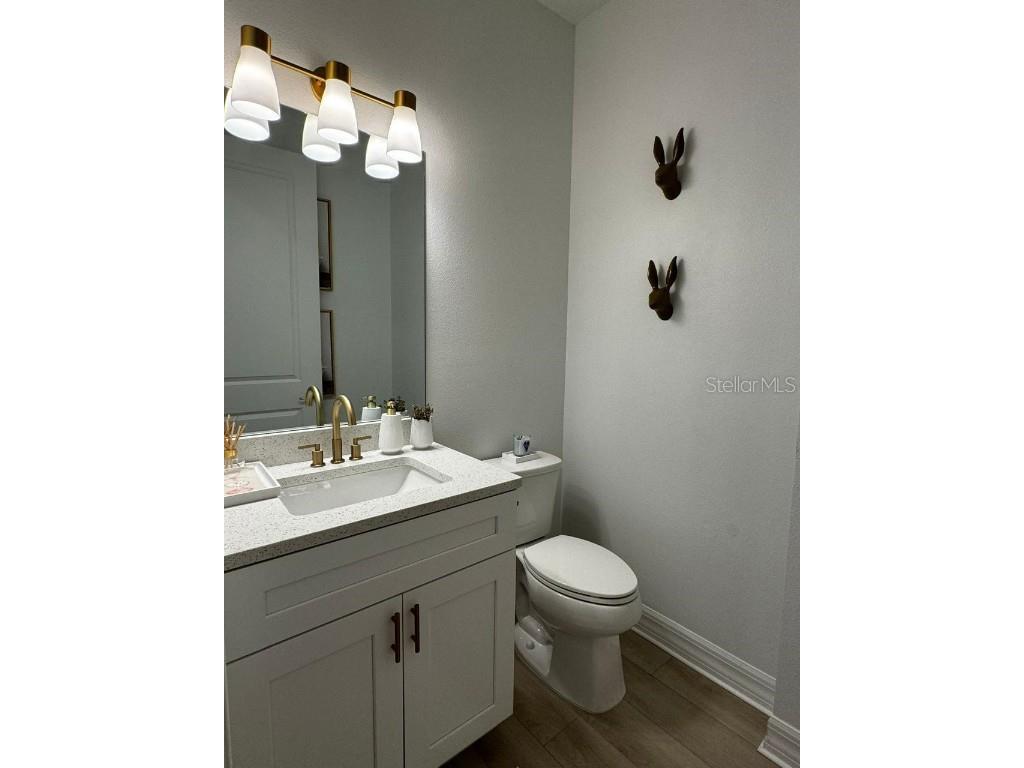 10778 Citron Oaks Drive Orlando FL 32836 O6358103 image24