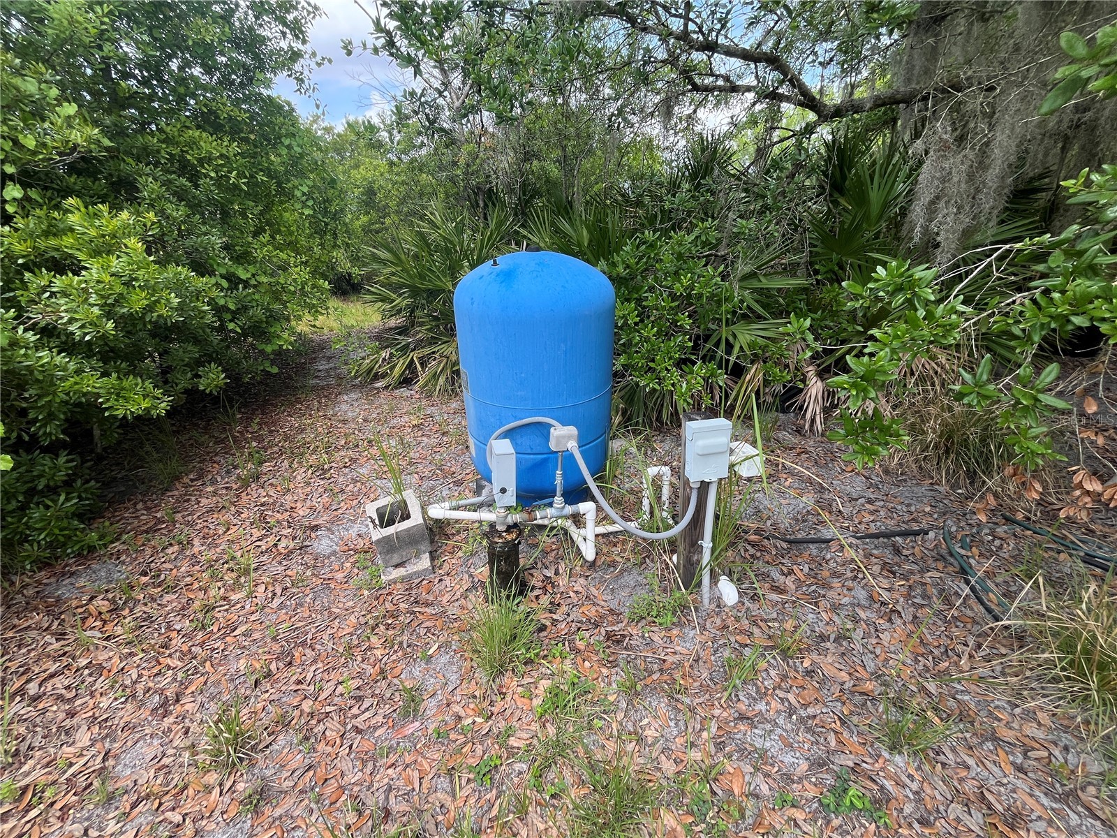 10780 State Road 60 E Lake Wales FL 33898 P4938514 image34