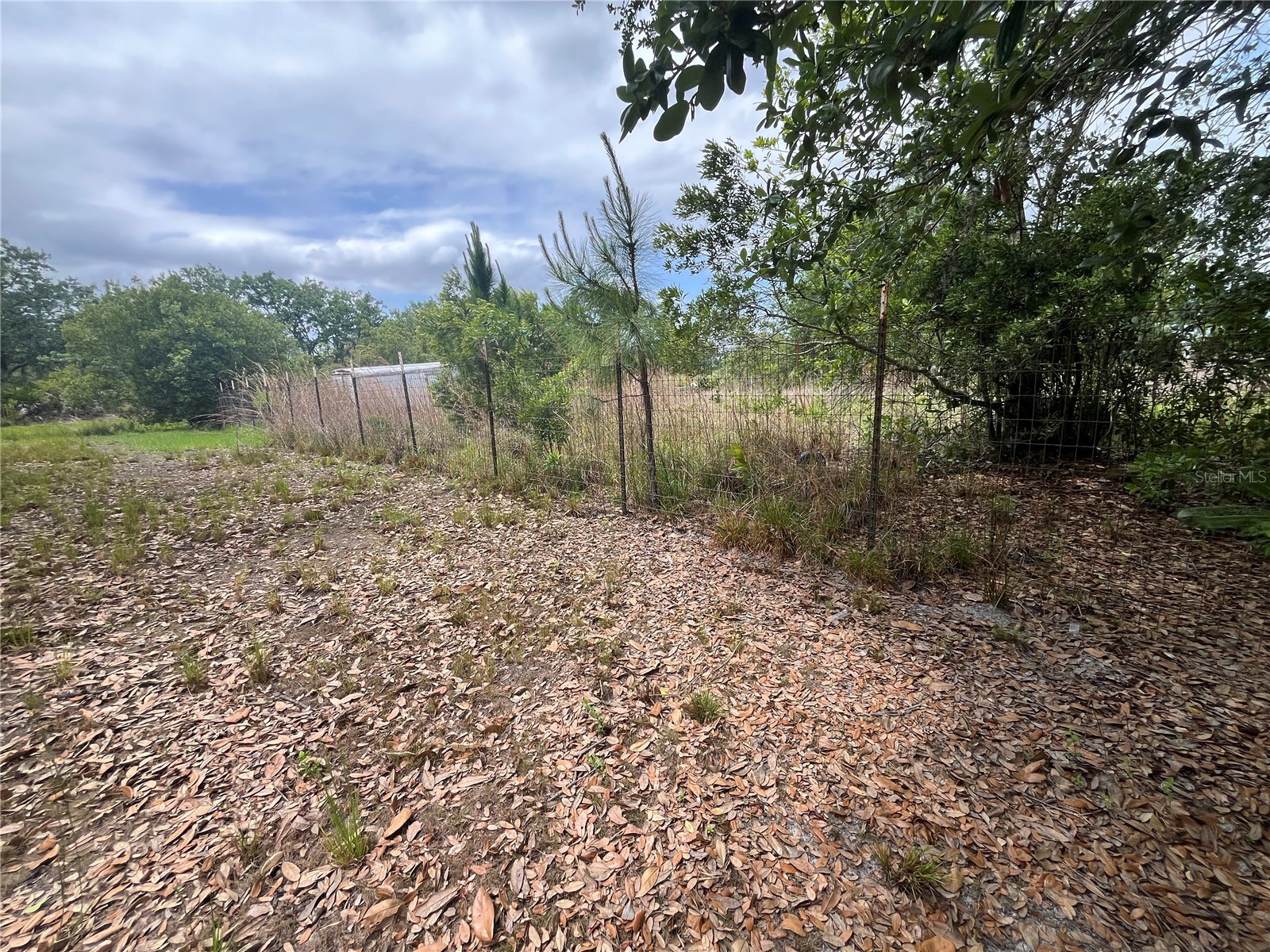 10780 State Road 60 E Lake Wales FL 33898 P4938514 image39