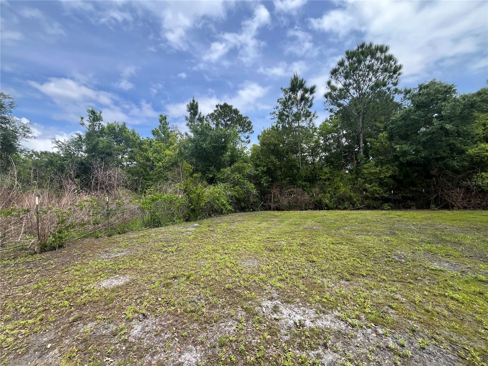 10780 State Road 60 E Lake Wales FL 33898 P4938514 image40