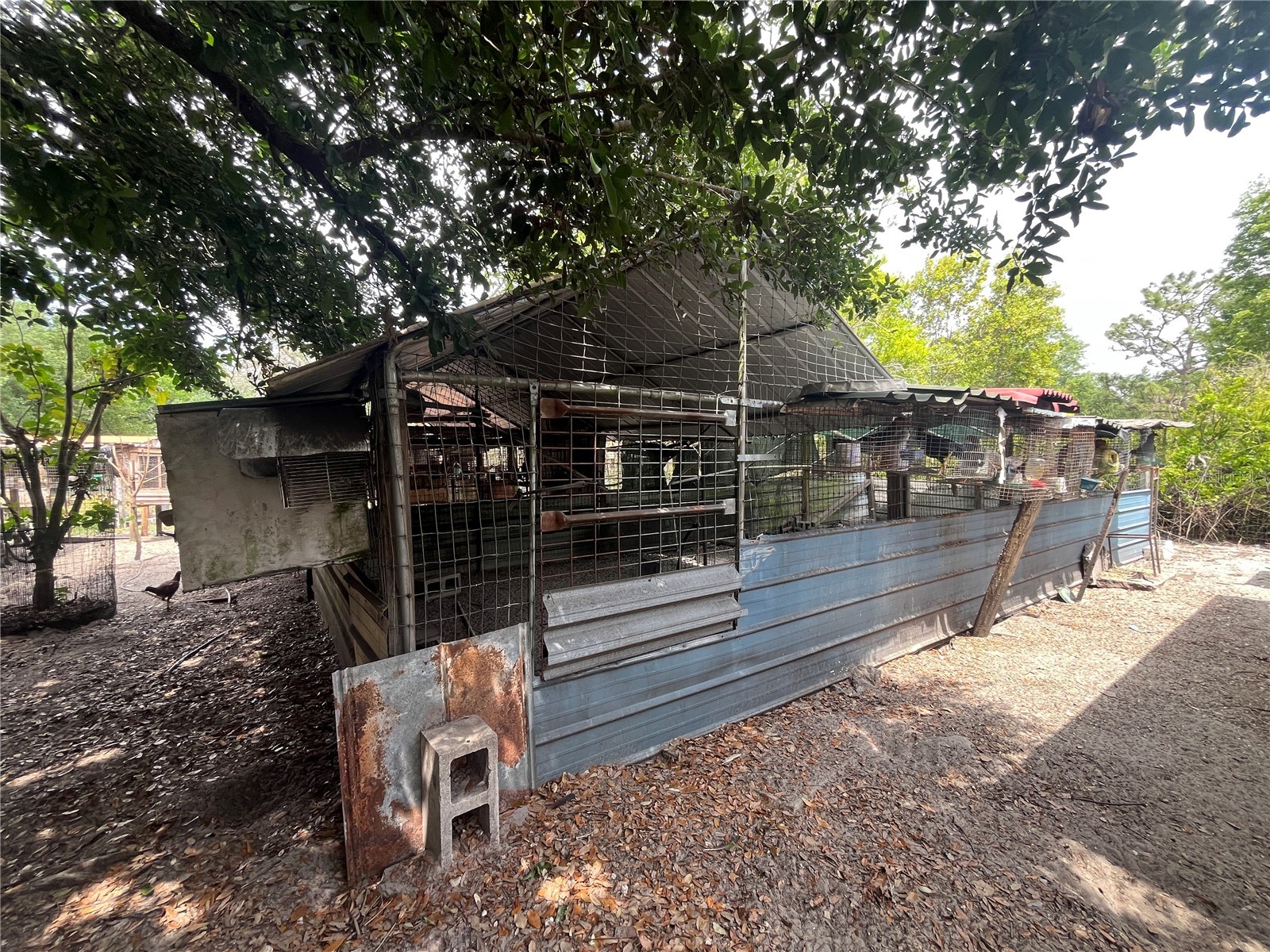 10780 State Road 60 E Lake Wales FL 33898 P4938514 image50