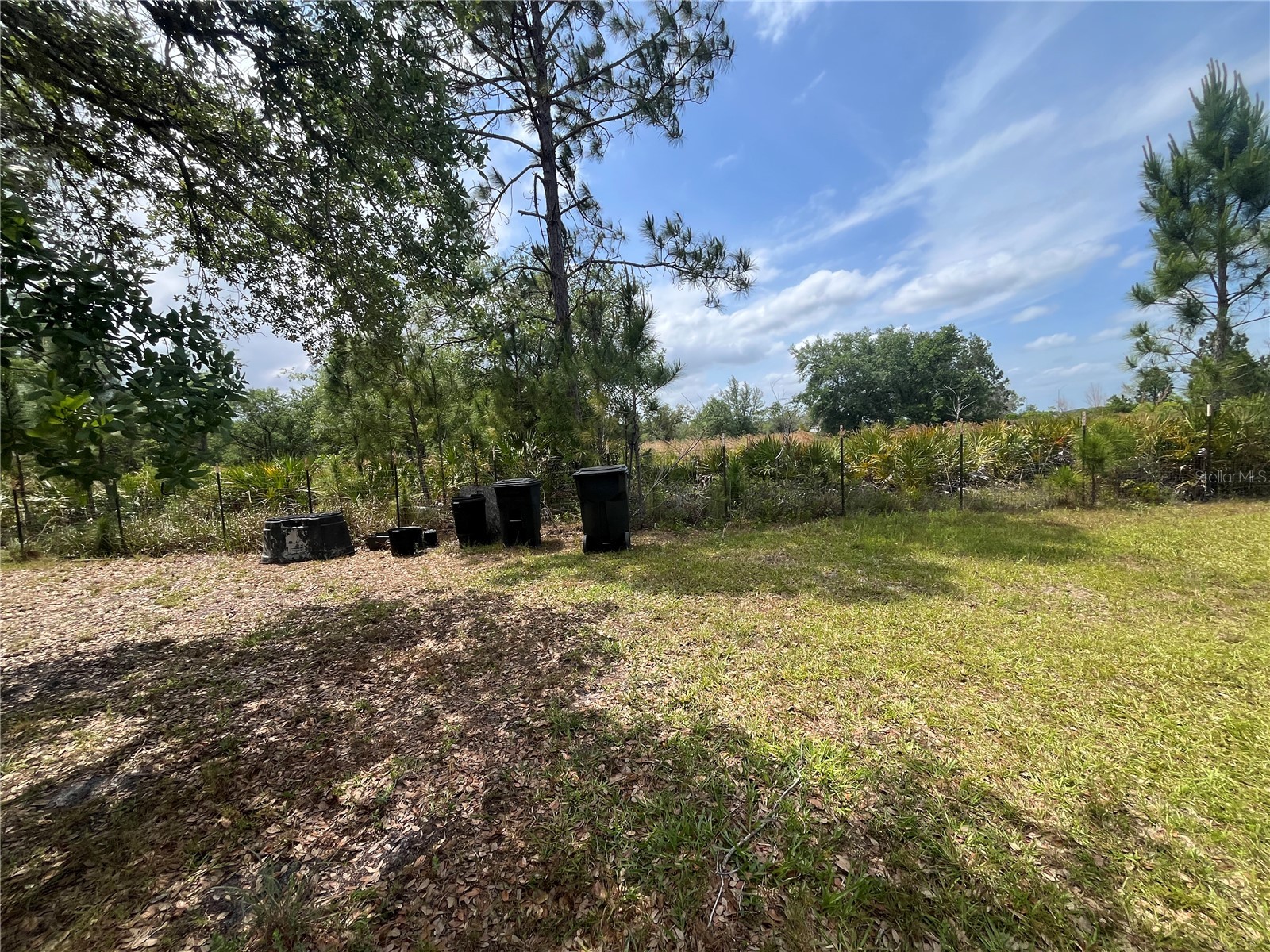 10780 State Road 60 E Lake Wales FL 33898 P4938514 image62