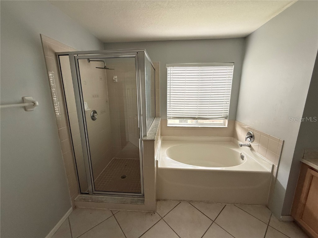 10782 Plantation Bay Drive Tampa FL 33647 TB8455617 image17