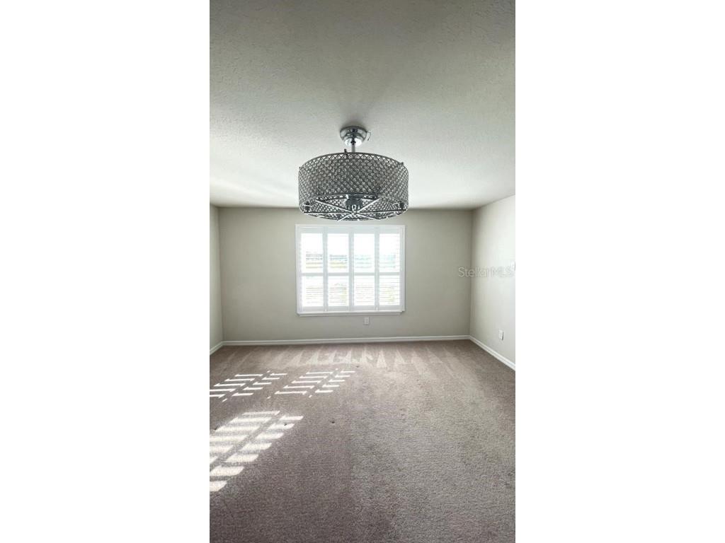 10785 Verawood Drive Riverview FL 33579 TB8443777 image15