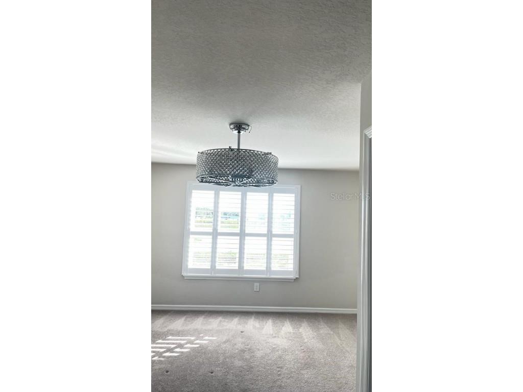 10785 Verawood Drive Riverview FL 33579 TB8443777 image16