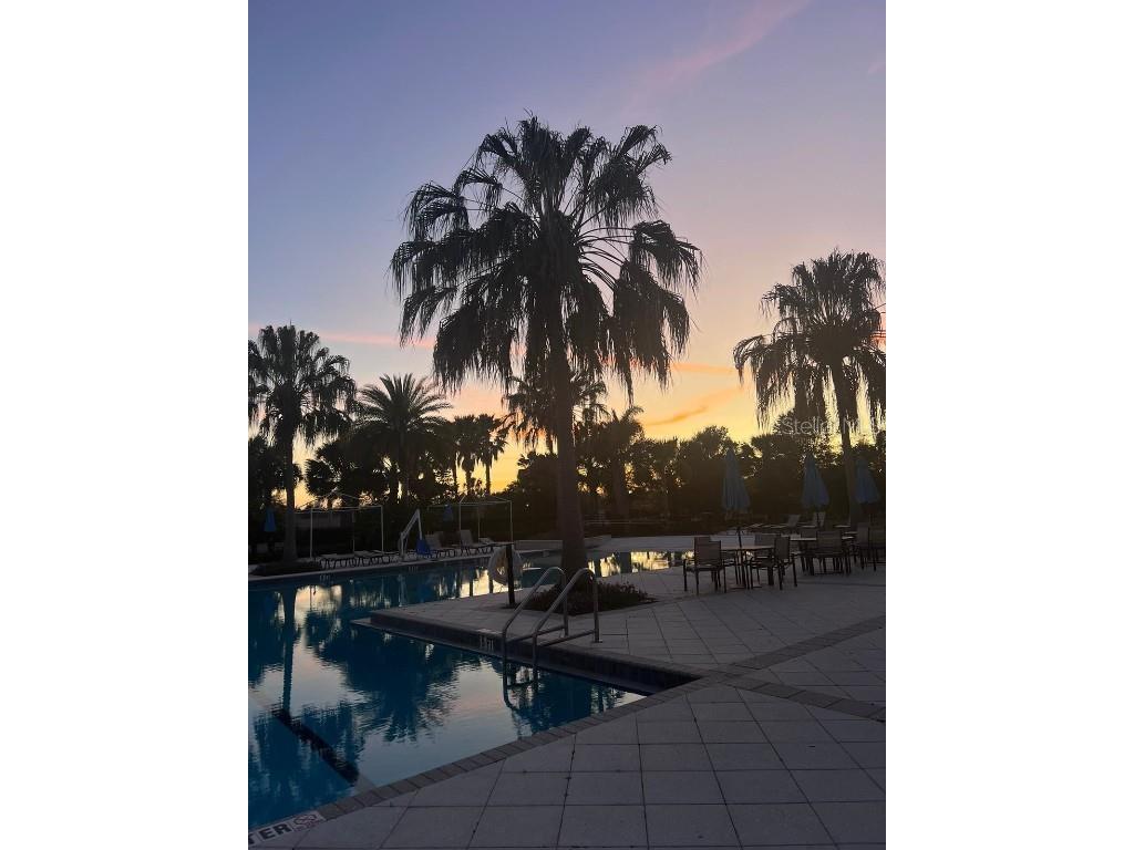 10785 Verawood Drive Riverview FL 33579 TB8443777 image27