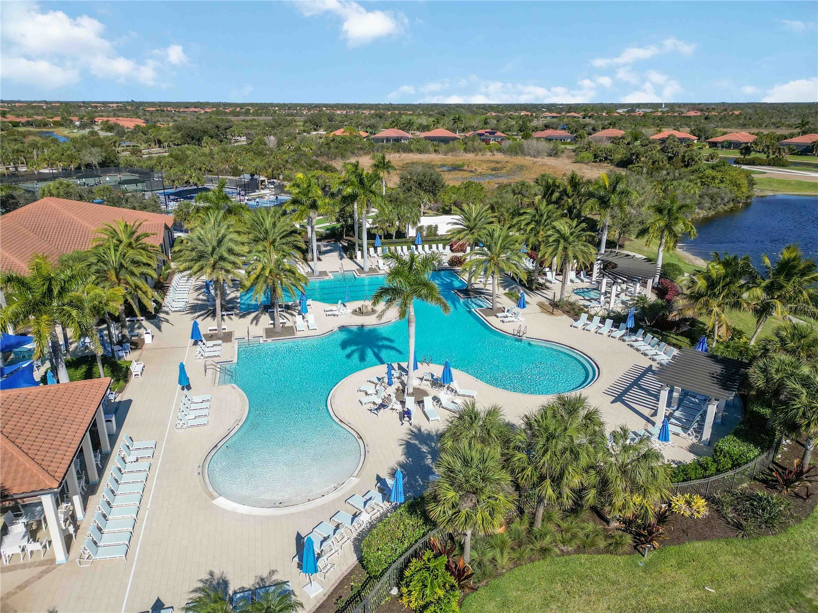 10788 Tarflower Drive #202 Venice FL 34293 A4677692 image68