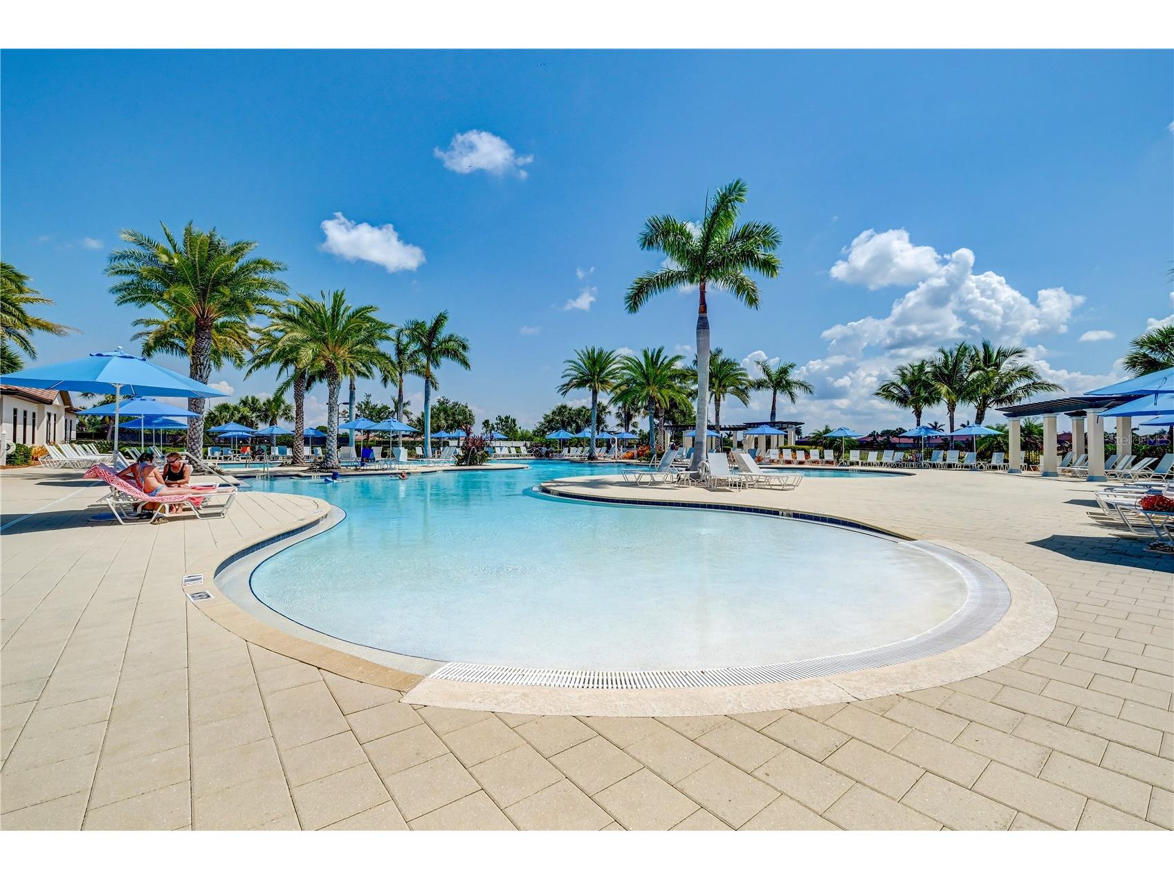 10788 Tarflower Drive #202 Venice FL 34293 A4677692 image81