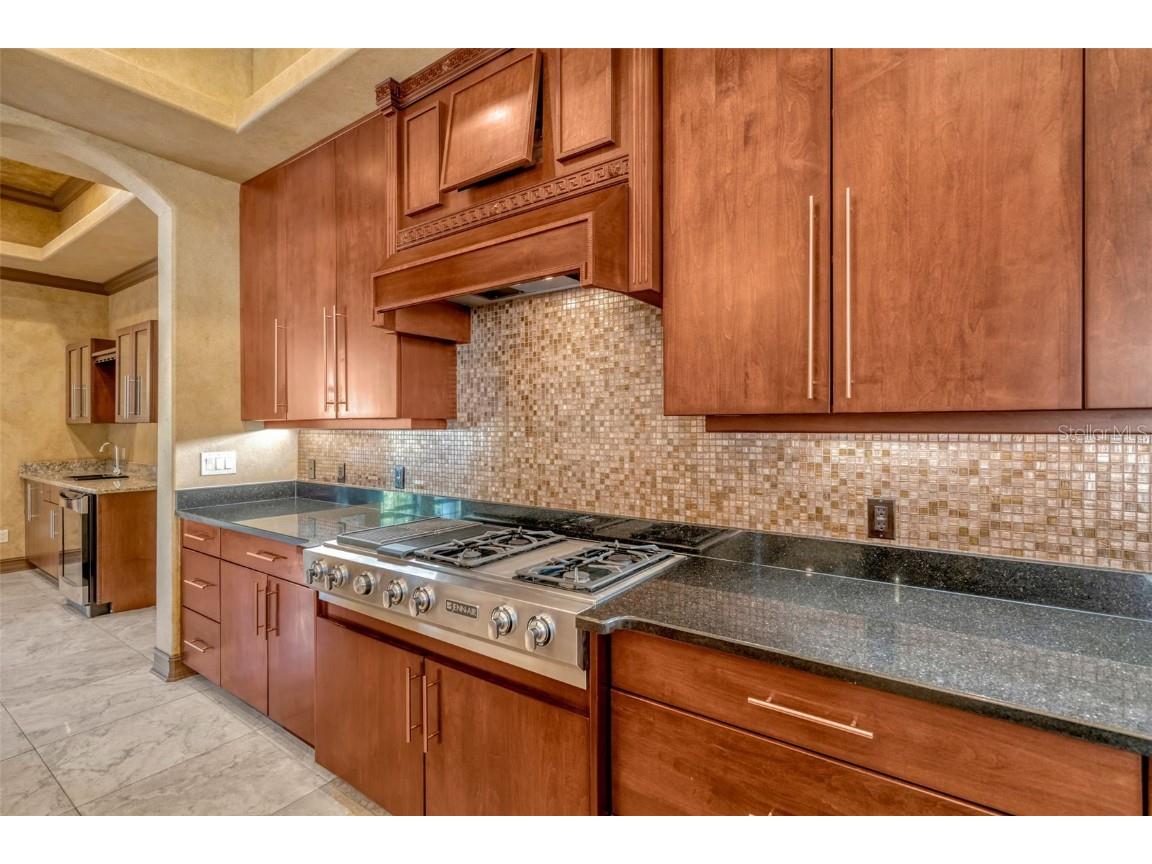 1079 Ashland Avenue Tarpon Springs FL 34689 W7879362 image14