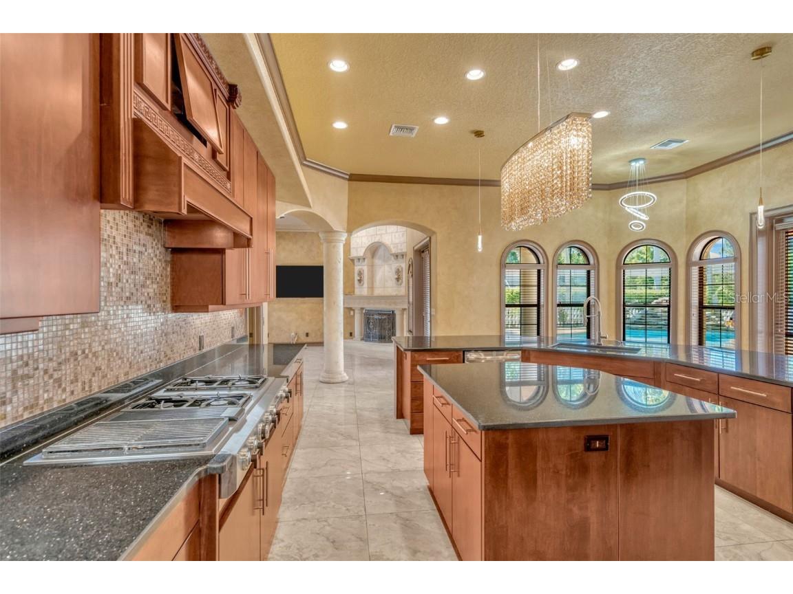 1079 Ashland Avenue Tarpon Springs FL 34689 W7879362 image15