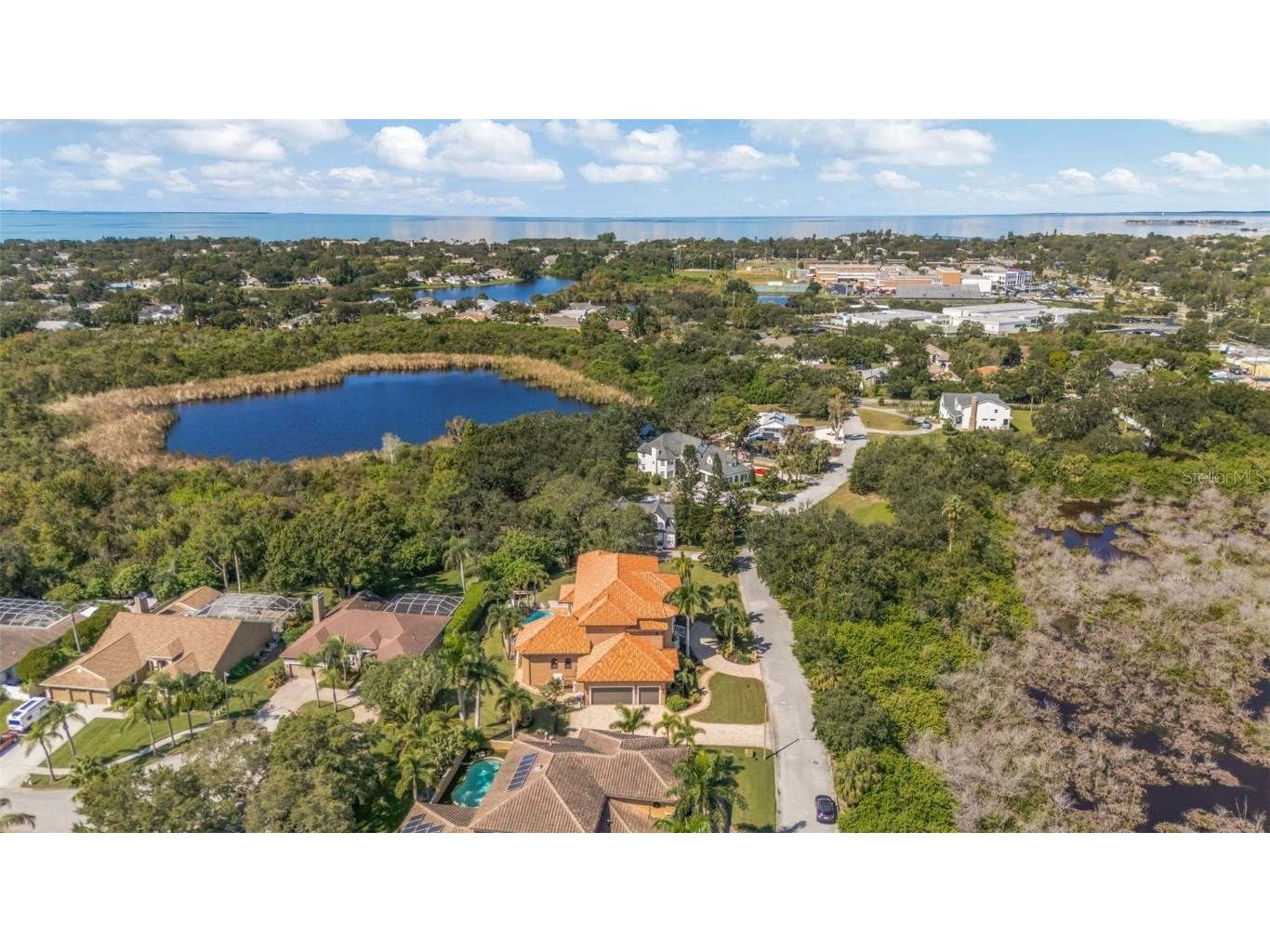 1079 Ashland Avenue Tarpon Springs FL 34689 W7879362 image44