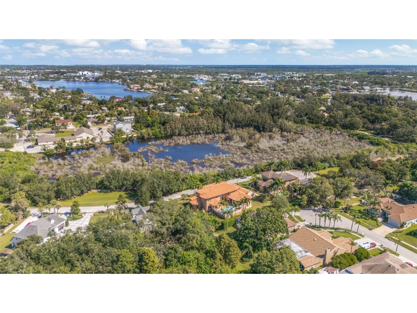 1079 Ashland Avenue Tarpon Springs FL 34689 W7879362 image46