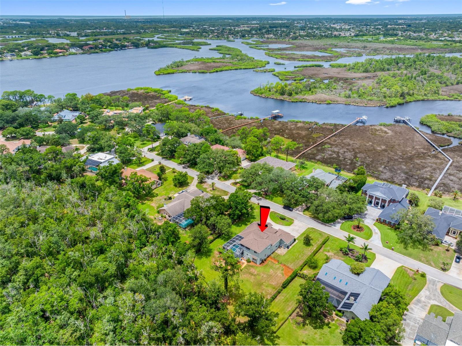 1079 Riverside Ridge Road Tarpon Springs FL 34688 TB8532727 image23