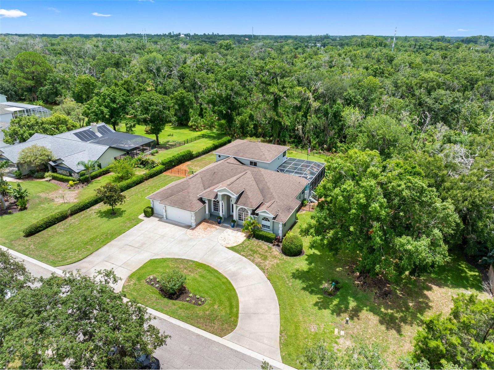 1079 Riverside Ridge Road Tarpon Springs FL 34688 TB8532727 image26