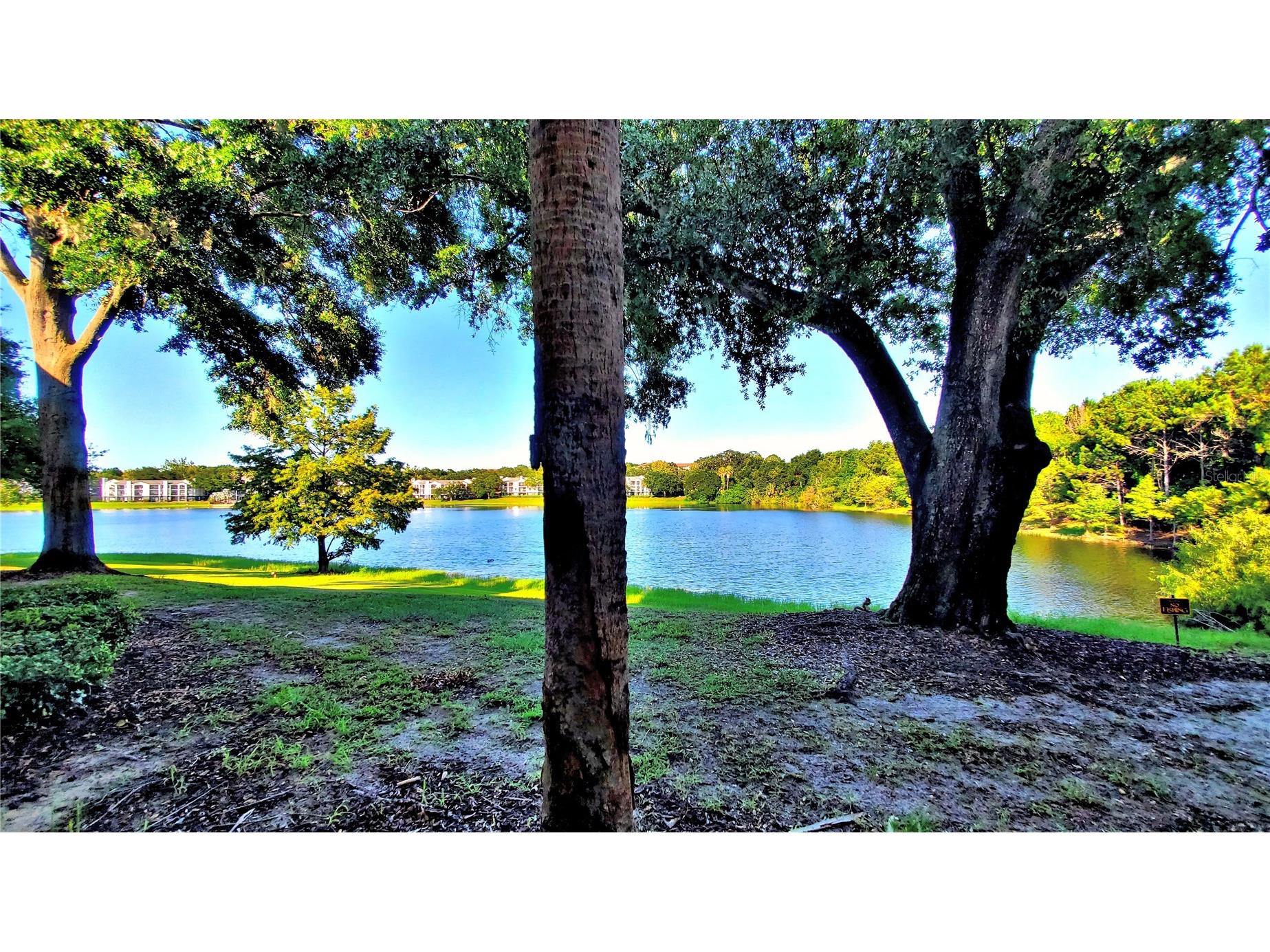 1079 S Hiawassee Road #1114 Orlando FL 32835 O6379933 image18