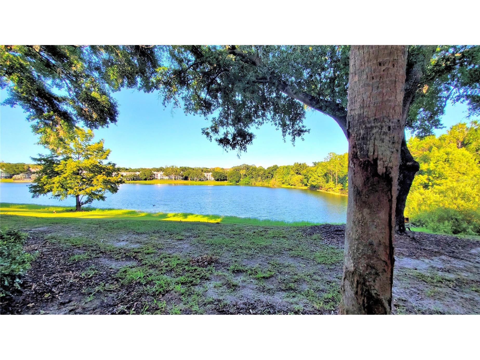 1079 S Hiawassee Road #1114 Orlando FL 32835 O6379933 image19