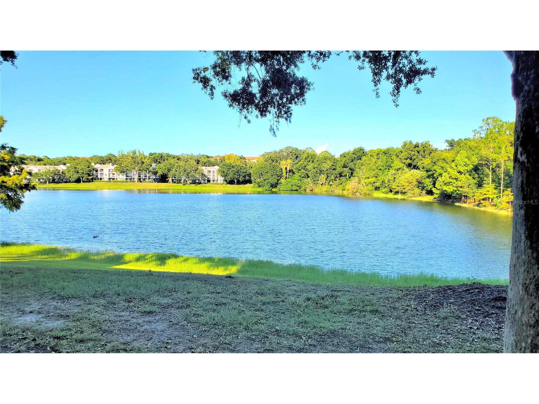 1079 S Hiawassee Road #1114 Orlando FL 32835 O6379933 image20