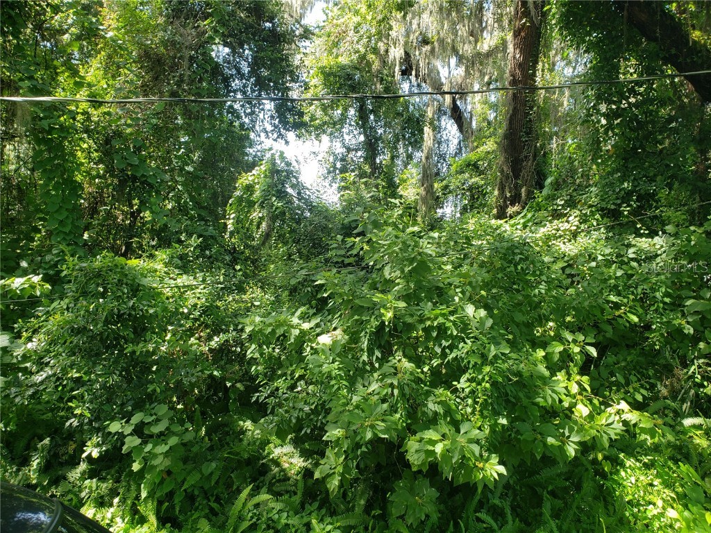 1079 SW 66th Place Bushnell FL 33513 G5073716 image1