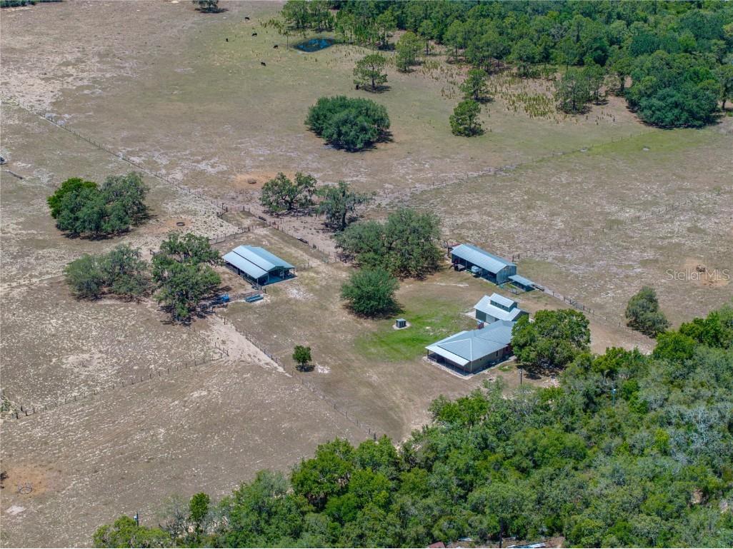 10790 Jim Edwards Road Haines City FL 33844 L4954429 image13