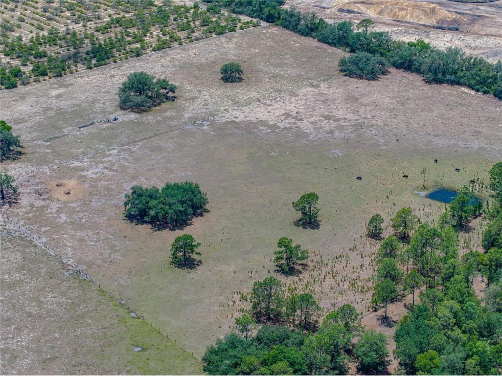 10790 Jim Edwards Road Haines City FL 33844 L4954429 image16