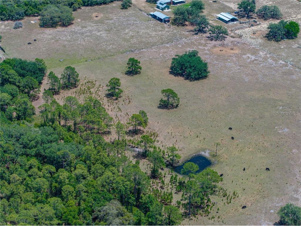 10790 Jim Edwards Road Haines City FL 33844 L4954429 image27