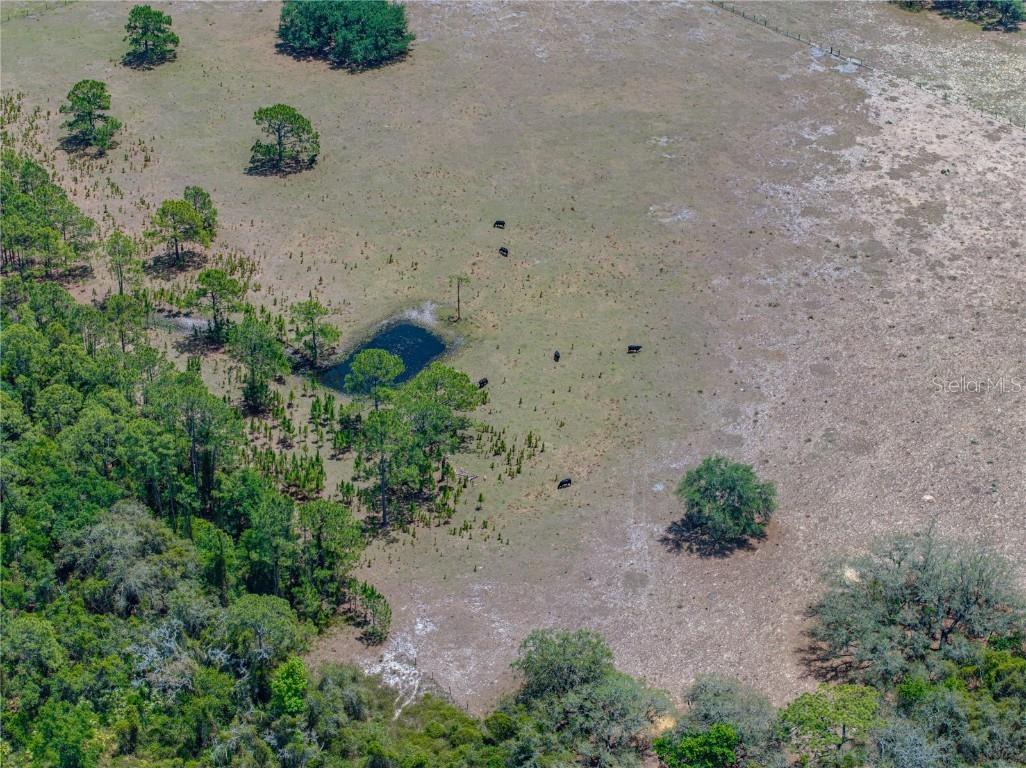 10790 Jim Edwards Road Haines City FL 33844 L4954429 image28