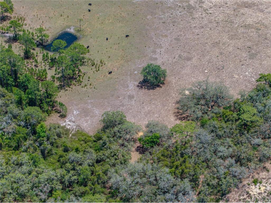 10790 Jim Edwards Road Haines City FL 33844 L4954429 image29