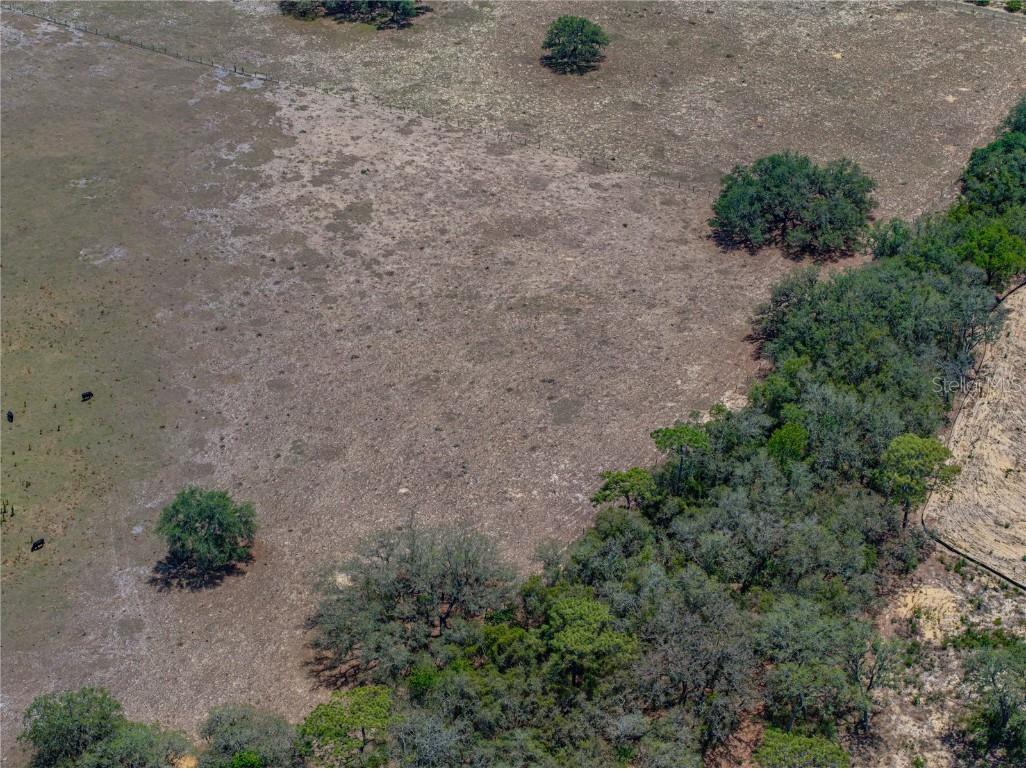 10790 Jim Edwards Road Haines City FL 33844 L4954429 image30