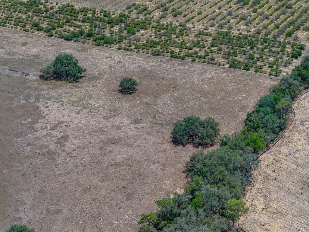 10790 Jim Edwards Road Haines City FL 33844 L4954429 image31