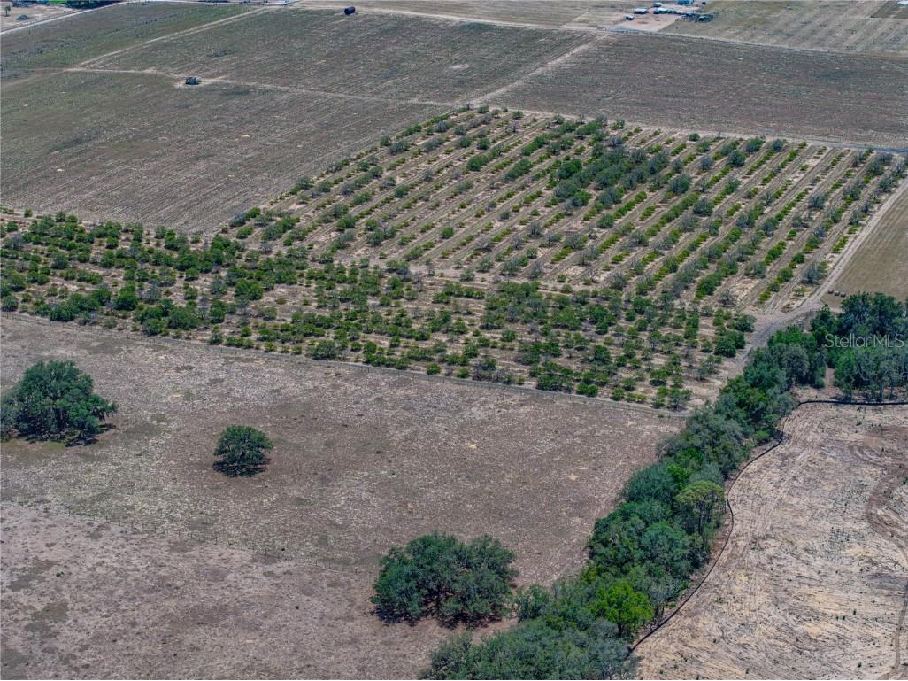 10790 Jim Edwards Road Haines City FL 33844 L4954429 image32