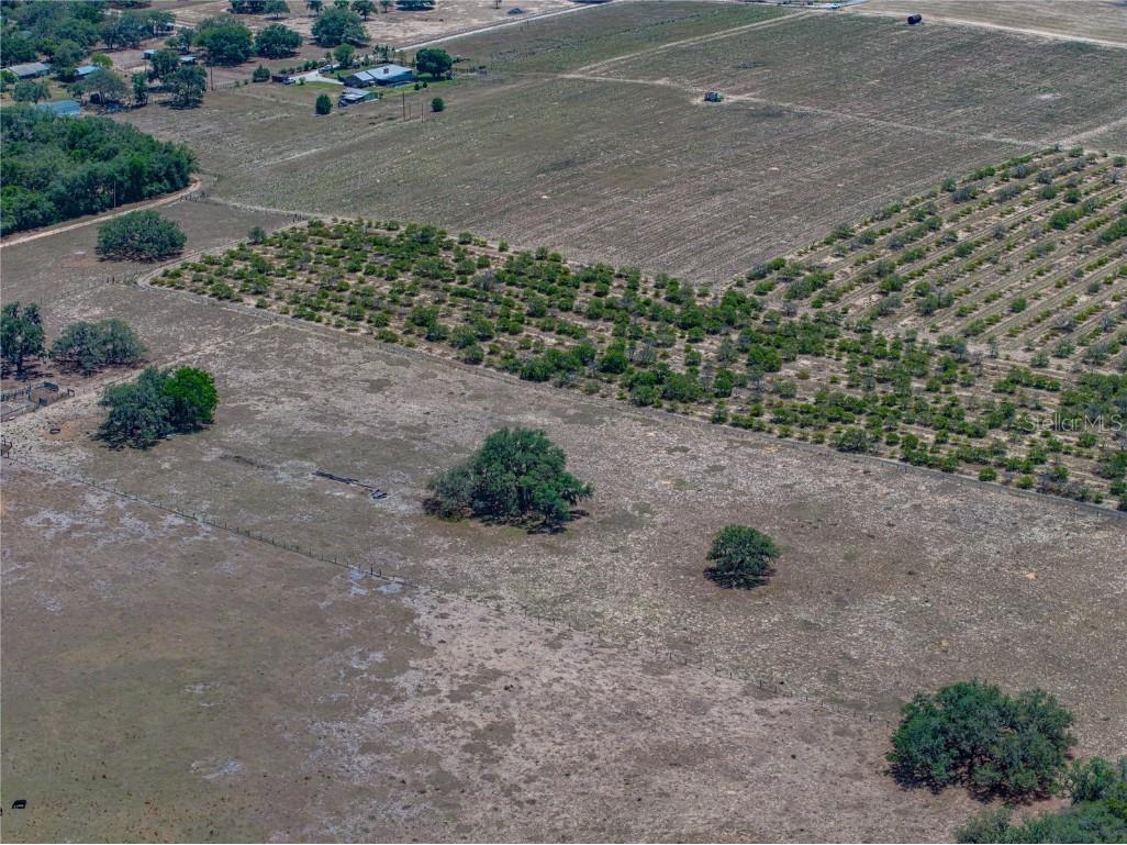 10790 Jim Edwards Road Haines City FL 33844 L4954429 image33