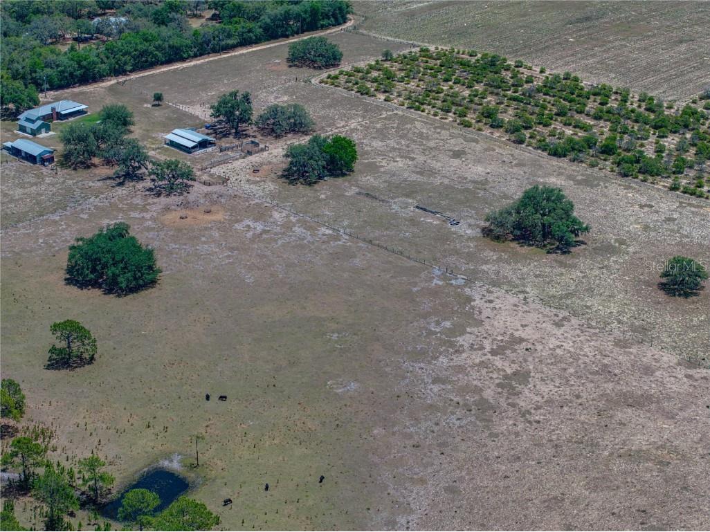 10790 Jim Edwards Road Haines City FL 33844 L4954429 image34