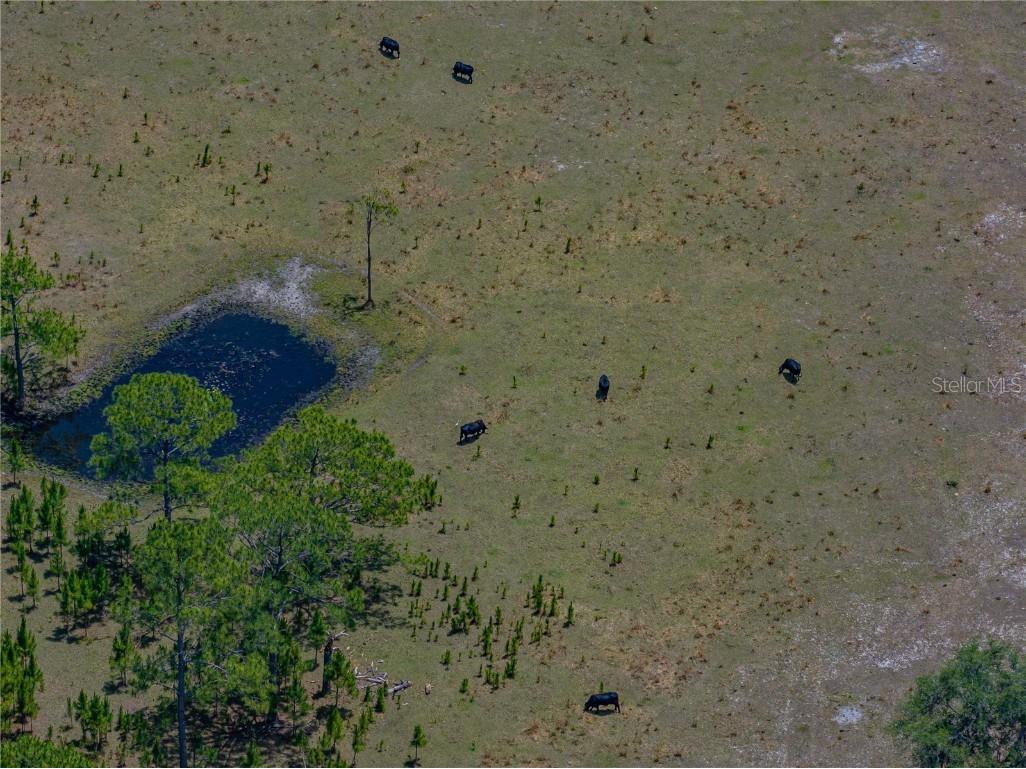 10790 Jim Edwards Road Haines City FL 33844 L4954429 image35