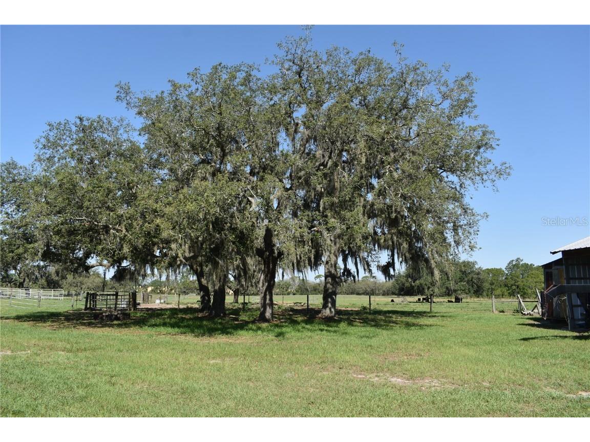 10790 Jim Edwards Road Haines City FL 33844 L4954429 image39