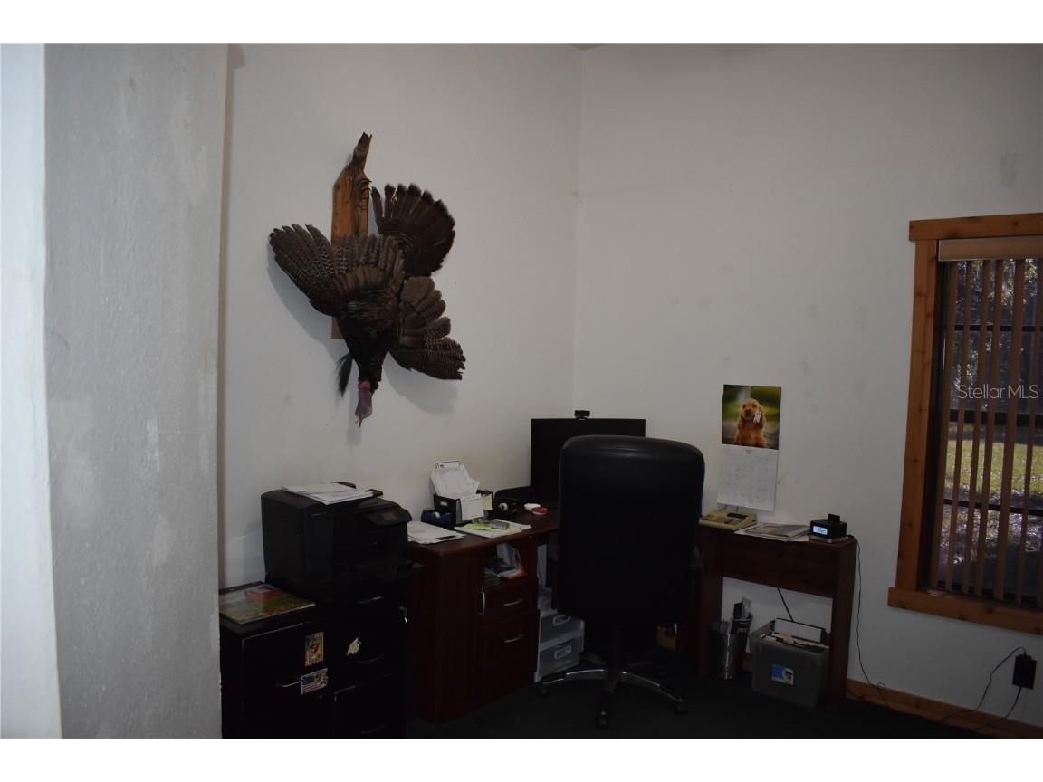 10790 Jim Edwards Road Haines City FL 33844 L4954429 image51