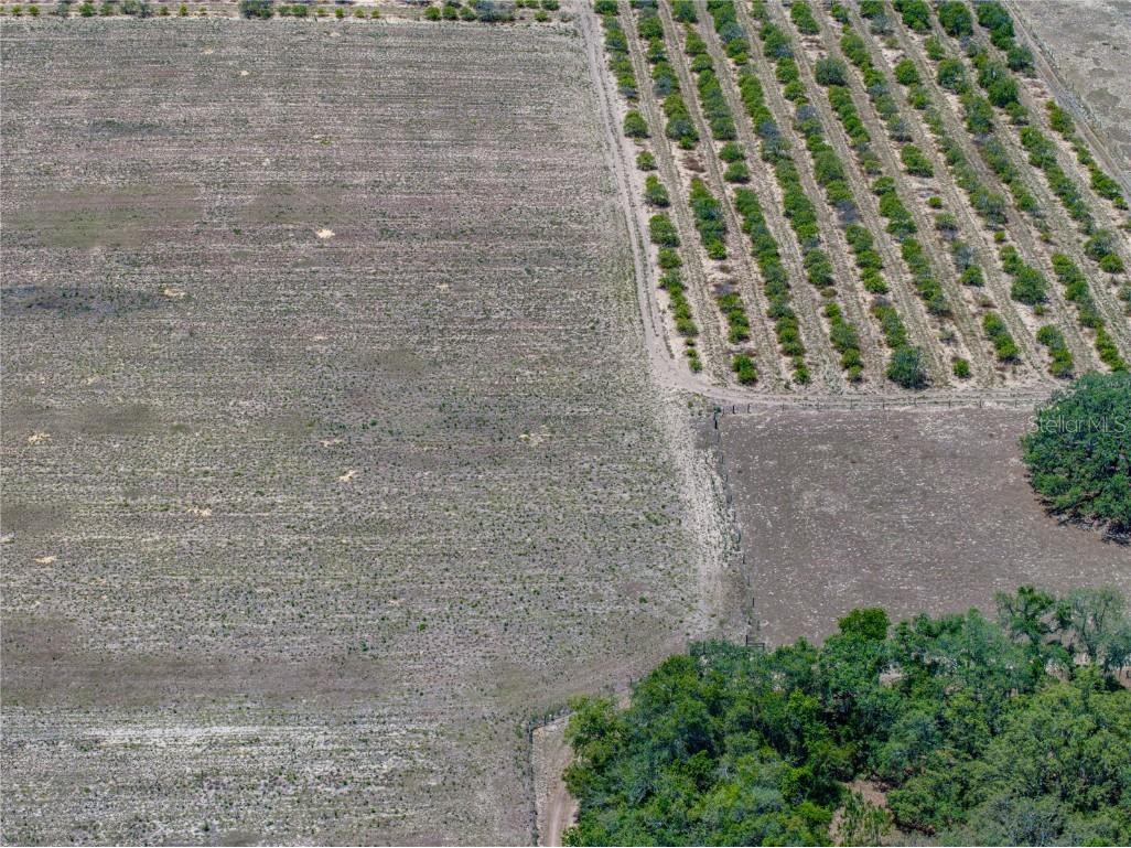 10790 Jim Edwards Road Haines City FL 33844 L4954429 image7