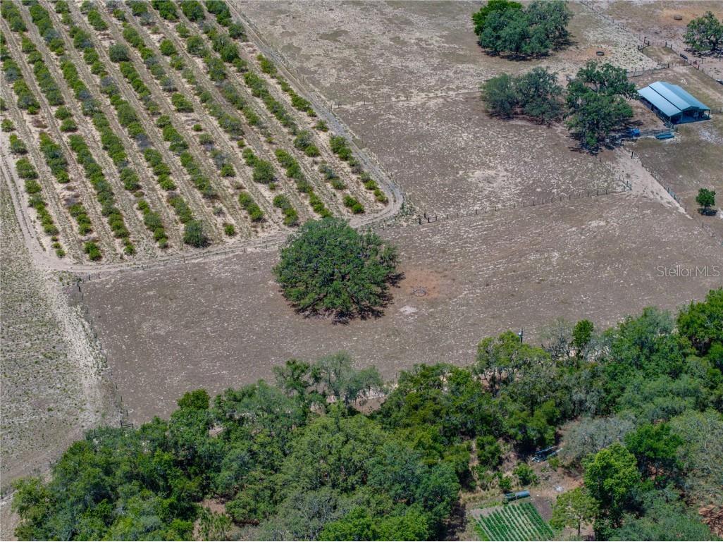 10790 Jim Edwards Road Haines City FL 33844 L4954429 image8