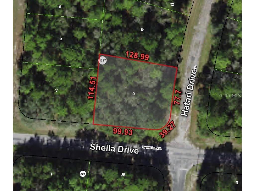 10790 N Hatari Drive Citrus Springs FL 34434 O6137146 image1