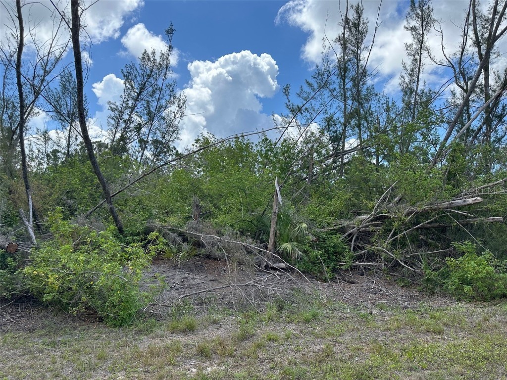 10792 Hatchet Circle Port Charlotte FL 33981 C7510553 image2